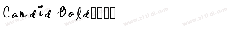 Candid Bold字体转换